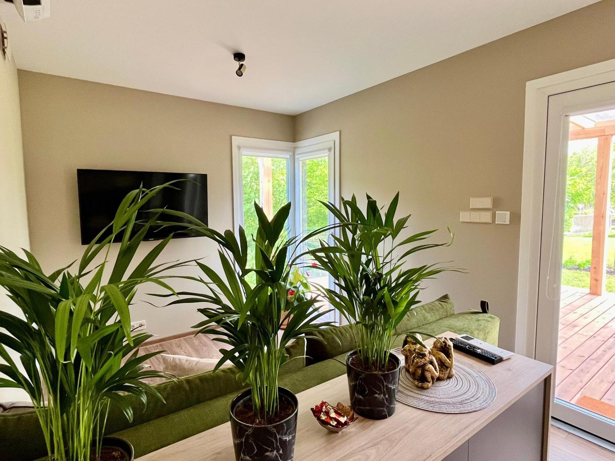 Eden House Villa Druskininkai Kültér fotó