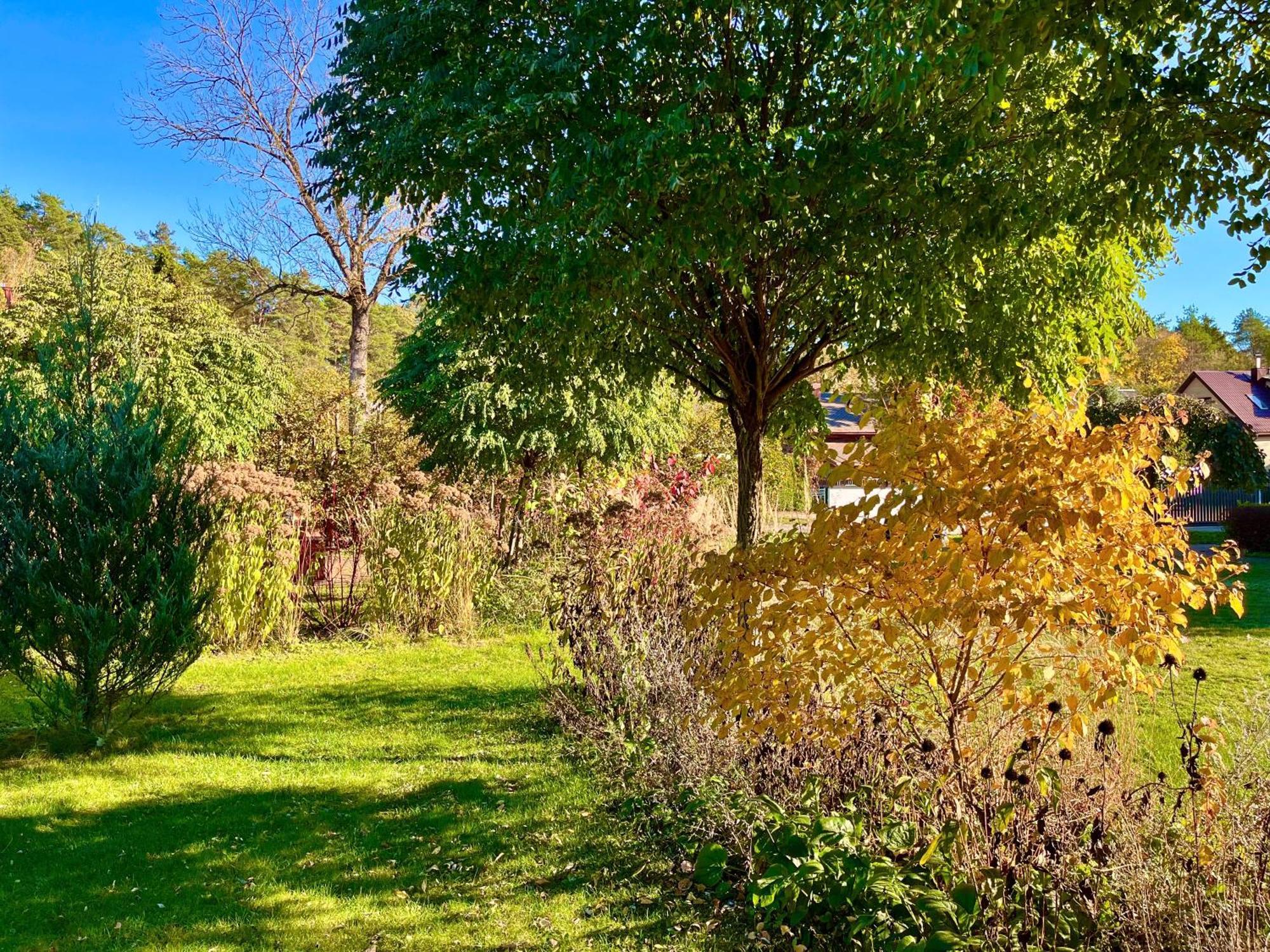 Eden House Villa Druskininkai Kültér fotó